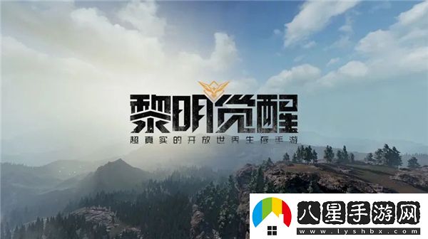 黎明覺醒生機(jī)b服和官服互通嗎