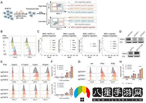 無(wú)人區(qū)編碼 6229JM 如何解讀之分析