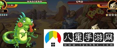 布萊克巖捕捉地點解析