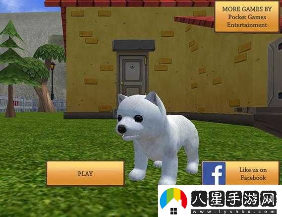 Zoom 與動物 Zoom 合作項目