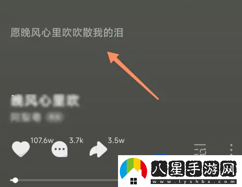 汽水音樂(lè)歌詞查看方法