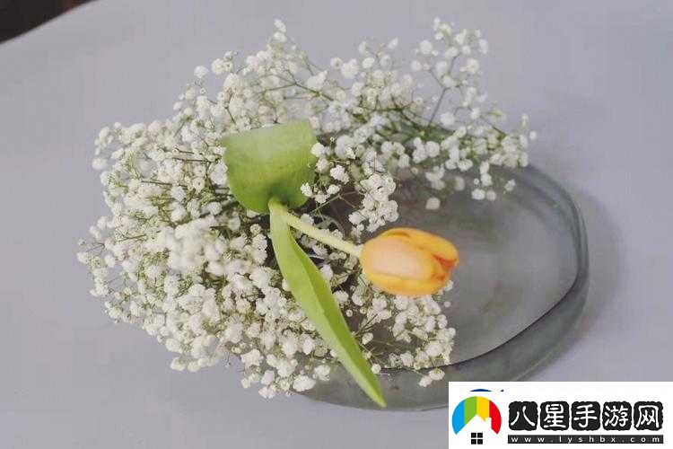 藝術(shù)學院滿天星法版免費