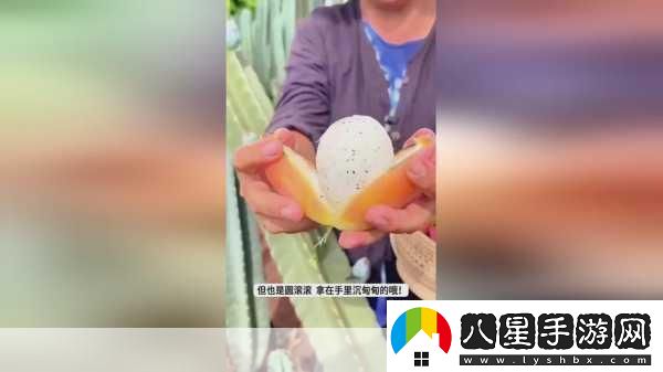 我愛搞52GAPP探索52G應(yīng)用讓你愛上科技與生活的無縫連接！