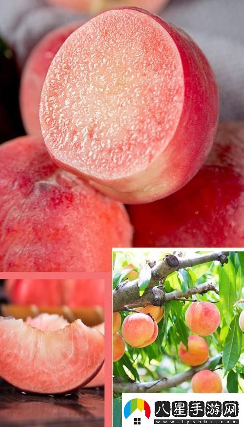 桃醉意國(guó)界的新晉網(wǎng)紅！