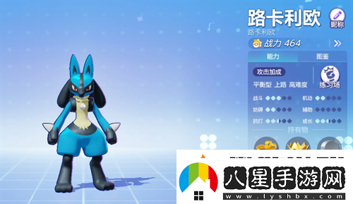 寶可夢(mèng)大集結(jié)路卡利歐持有物選什么