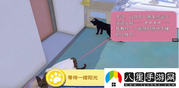 小貓咪大城市等待一縷陽光任務攻略