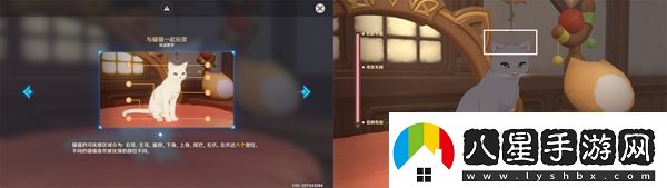 原神茸茸城堡大喵險(xiǎn)第三關(guān)怎么過