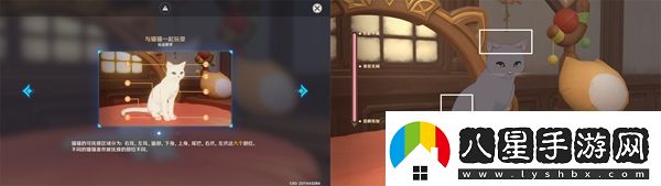 原神茸茸城堡大喵險(xiǎn)第三關(guān)怎么過