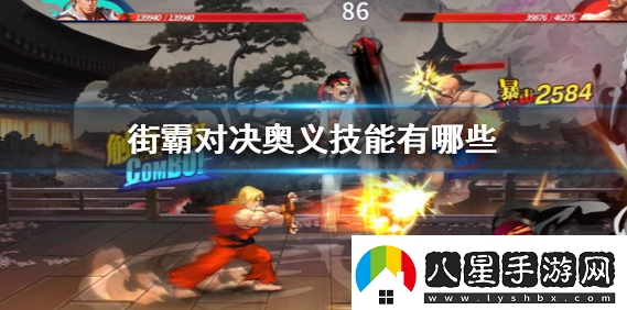 街霸對(duì)決有哪些奧義技能