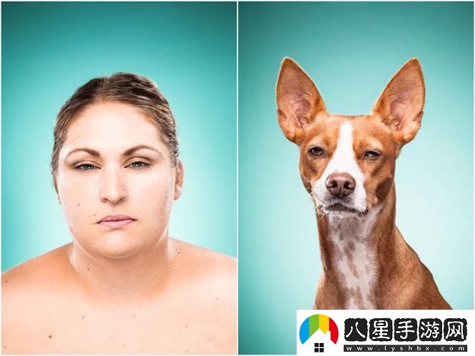 新探索人物動(dòng)物交互狗aa帶來的美好體驗(yàn)