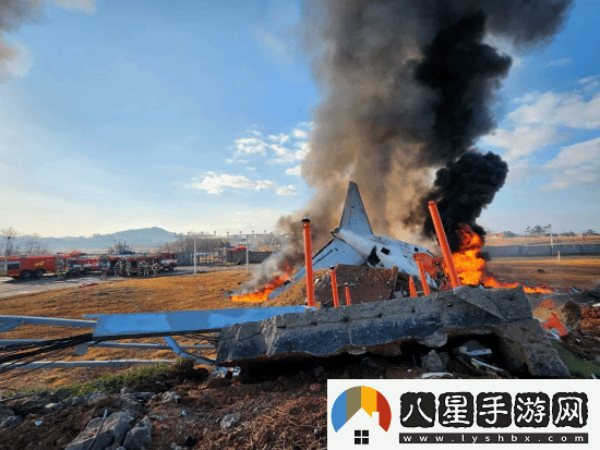 韓國撞墻客機乘客名單公布