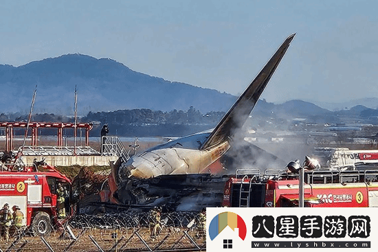 韓國撞墻客機乘客名單公布