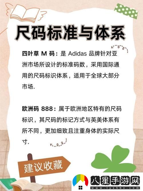 四葉草m碼和歐洲碼的888區(qū)別