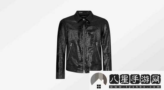 黃仁勛新皮衣超帥！價格曝光