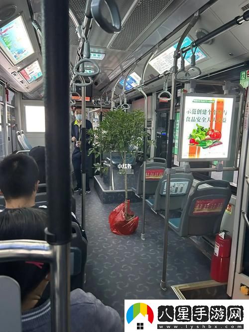 愛(ài)情與命運交錯的旅程