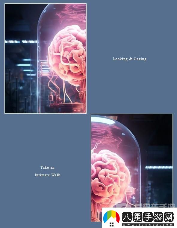 百變大偵探大腦歸處兇手是誰(shuí)