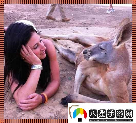 “奇趣互動(dòng)！高清時(shí)代的人物與動(dòng)物‘吵架’日常
