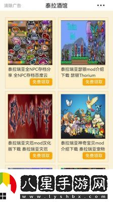 泰拉瑞亞游戲輔助工具選擇與風(fēng)險預(yù)防