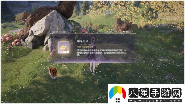 無(wú)限暖暖曙光毛團獲取方法及位置分享