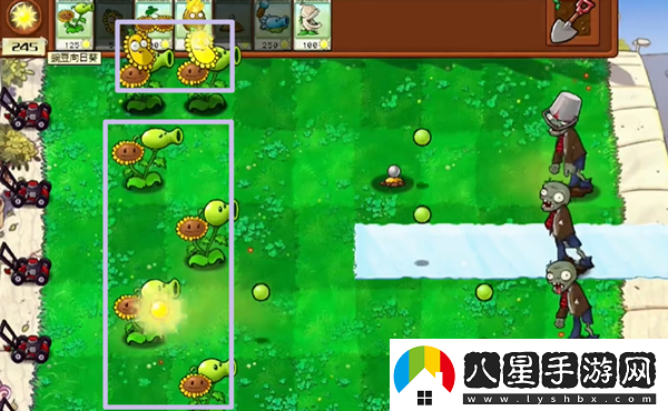 植物大戰僵尸雜交版最全玩法植物大戰僵尸雜交版保姆級攻略
