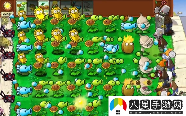 植物大戰僵尸雜交版最全玩法植物大戰僵尸雜交版保姆級攻略