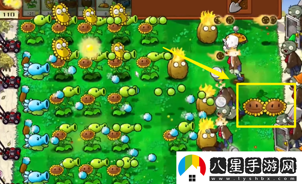植物大戰僵尸雜交版最全玩法植物大戰僵尸雜交版保姆級攻略