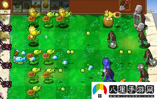 植物大戰僵尸雜交版最全玩法植物大戰僵尸雜交版保姆級攻略