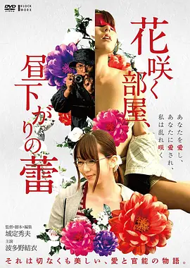 播放画面